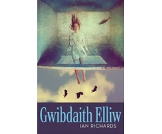 KNYGA Bookshop Gwibdaith Elliw