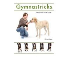 KNYGA Bookshop Gymnastricks