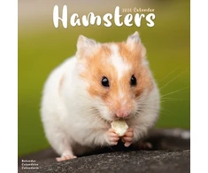 KNYGA Bookshop Hamsters Calendar 2026 Square Animal Wall Calendar - 16 Month