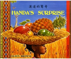 KNYGA Bookshop Handa's Surprise in Chinese and English