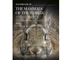 KNYGA Bookshop Handbook of the Mammals of the World. Vol.6