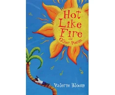 KNYGA Bookshop Hot Like Fire Bind-up