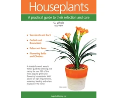KNYGA Bookshop Houseplants