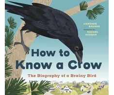 KNYGA Bookshop How to Know a Crow