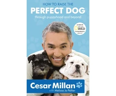 KNYGA Bookshop How to Raise the Perfect Dog