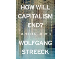 KNYGA Bookshop How Will Capitalism End?