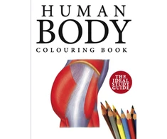 KNYGA Bookshop Human Body Colouring Book