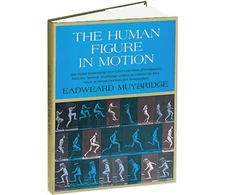 KNYGA Bookshop Human Figure in Motion