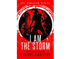 KNYGA Bookshop I AM the Storm