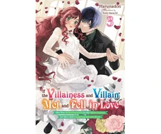 KNYGA Bookshop If the Villainess and Villain Met and Fell in Love, Vol. 3 (light novel)