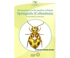 KNYGA Bookshop Illustrated Key to the Families of British Springtails (Collembola)