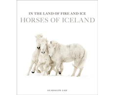 KNYGA Bookshop In the Land of Fire and Ice