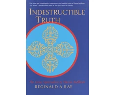 KNYGA Bookshop Indestructible Truth