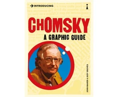 KNYGA Bookshop Introducing Chomsky