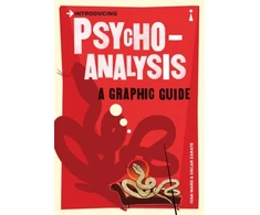 KNYGA Bookshop Introducing Psychoanalysis