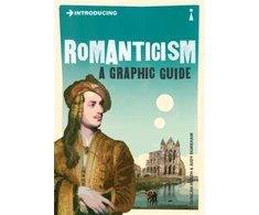 KNYGA Bookshop Introducing Romanticism