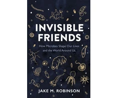 KNYGA Bookshop Invisible Friends