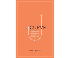 KNYGA Bookshop J-Curve
