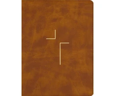 KNYGA Bookshop Jesus Bible, ESV Edition, Leathersoft, Tan