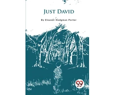 KNYGA Bookshop Just David