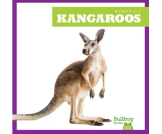 KNYGA Bookshop Kangaroos