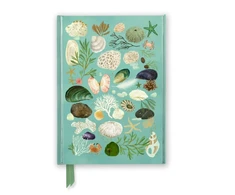 KNYGA Bookshop Katherine Quinn: Beachcombing (Foiled Journal)