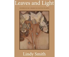 KNYGA Bookshop Leaves and Light