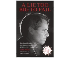 KNYGA Bookshop Lie Too Big to Fail