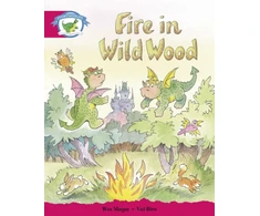 KNYGA Bookshop Literacy Edition Storyworlds Stage 5, Fantasy World, Fire in Wild Wood