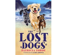 KNYGA Bookshop Lost Dogs