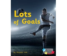 KNYGA Bookshop Lots of Goals