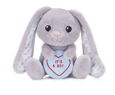 KNYGA Bookshop Love Hearts 7" Baby Boy Bunny Plush Gift