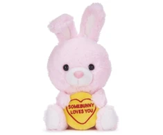 KNYGA Bookshop Love Hearts 7" Somebunny Loves You Plush Gift