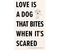 KNYGA Bookshop Love Is a Dog That Bites When It’s Scared