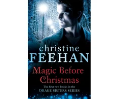 KNYGA Bookshop Magic Before Christmas