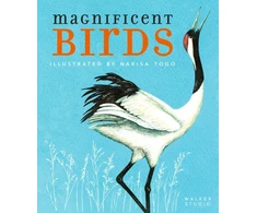 KNYGA Bookshop Magnificent Birds