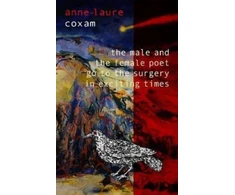 KNYGA Bookshop Male and the Female Poet Go to the Surgery in Exciting Times