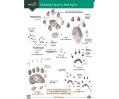 KNYGA Bookshop Mammal tracks and signs