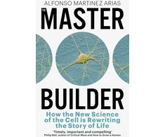KNYGA Bookshop Master Builder