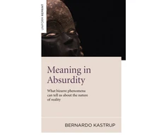 KNYGA Bookshop Meaning in Absurdity – What bizarre phenomena can tell us about the nature of reality