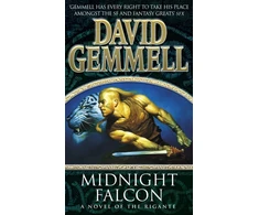 KNYGA Bookshop Midnight Falcon