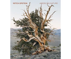 KNYGA Bookshop Mitch Epstein