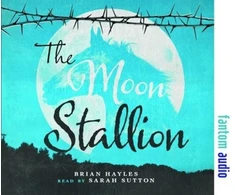 KNYGA Bookshop Moon Stallion