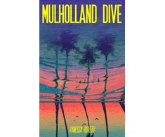 KNYGA Bookshop Mulholland Dive