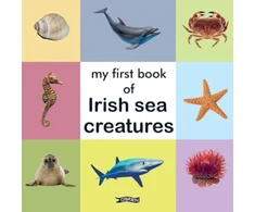 KNYGA Bookshop My First Book of Irish Sea Creatures