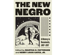 KNYGA Bookshop New Negro