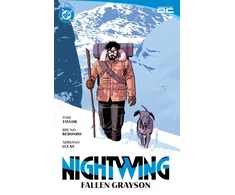 KNYGA Bookshop Nightwing Vol. 7: Fallen Grayson