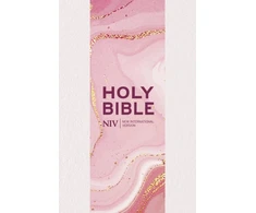 KNYGA Bookshop NIV Larger Print Personal Pastel Rožinė Bible
