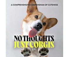 KNYGA Bookshop No Thoughts Just Corgis