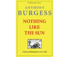 KNYGA Bookshop Nothing Like The Sun